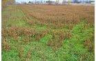 Property photo 9 - 80 Acres & Home - Property Offered in 4 Tracts from 2.3 to 30.0 Acres